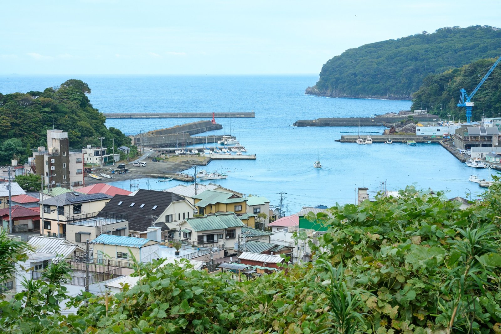 日帰り真鶴ワーケーションパス（写真2）
